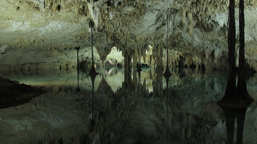 Cavern at Cenote Pet Cemetery