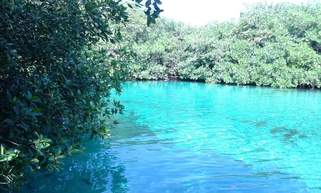 Casa Cenote - Cenote Manati - Tank Ha