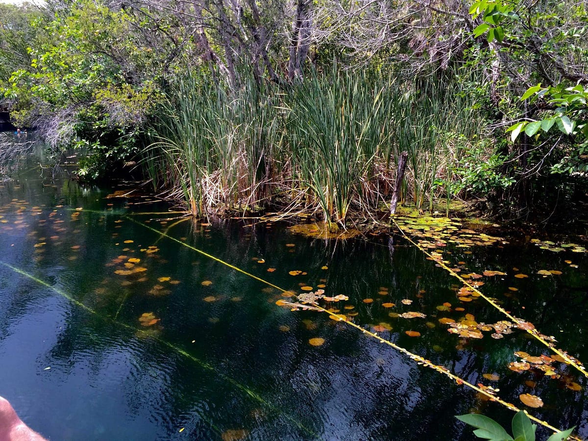 Cenote Carwash (Aktun Ha), Tulum Mexico