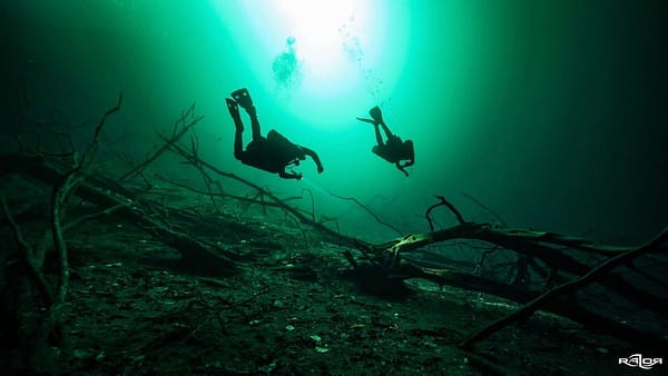 Decompression Procedures Training dive in cenote Orquidea