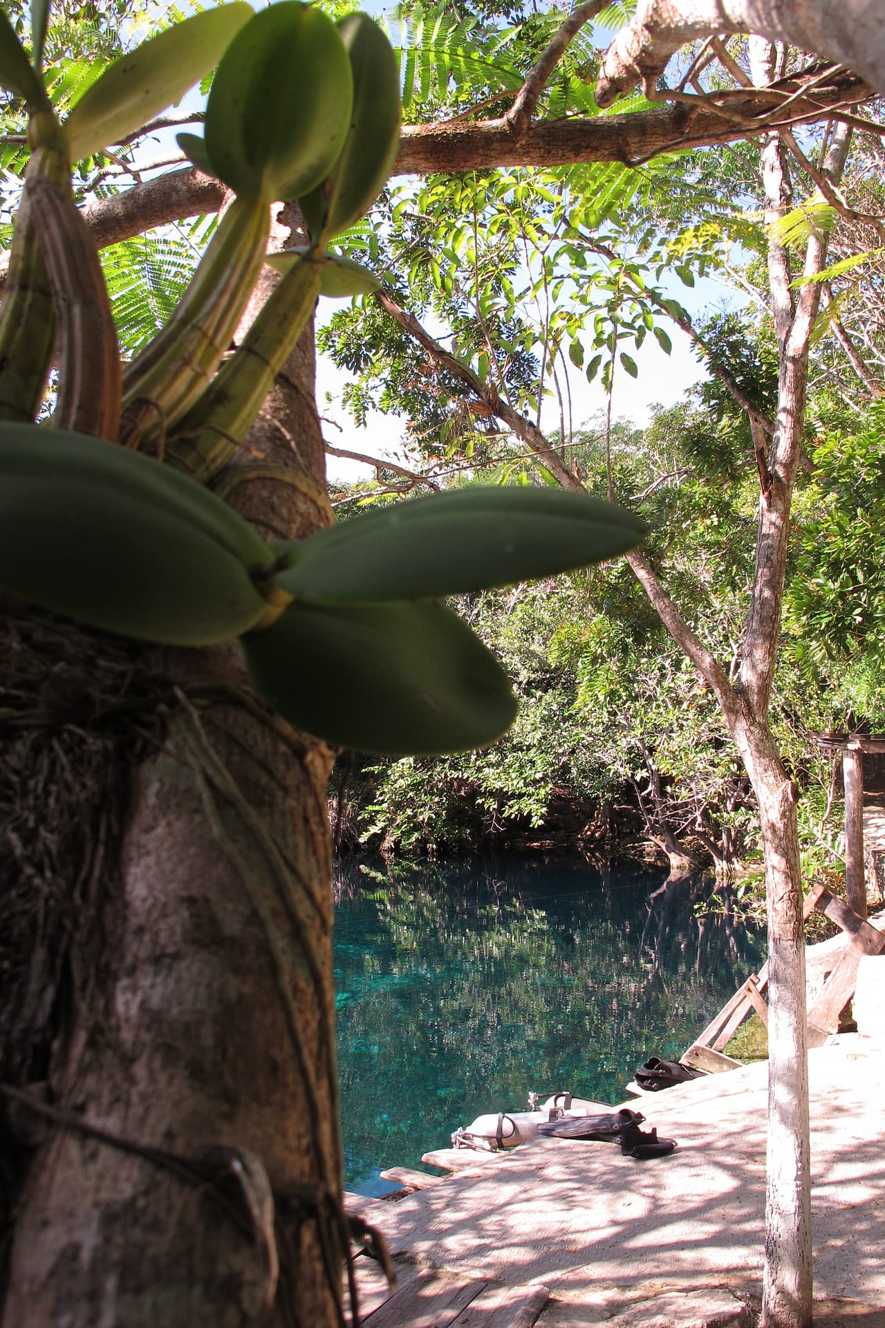 Cenote Actun Ha - Cenote Carwash