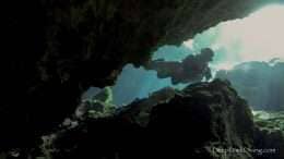 intro to cave | Cenote, Cave, Tech and CCR diving - Mexico intro to cave